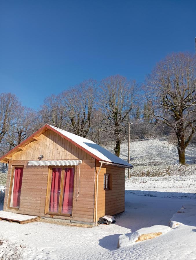 La P'Tite Maison Bois Du Herisson Menetrux-en-Joux Exterior photo
